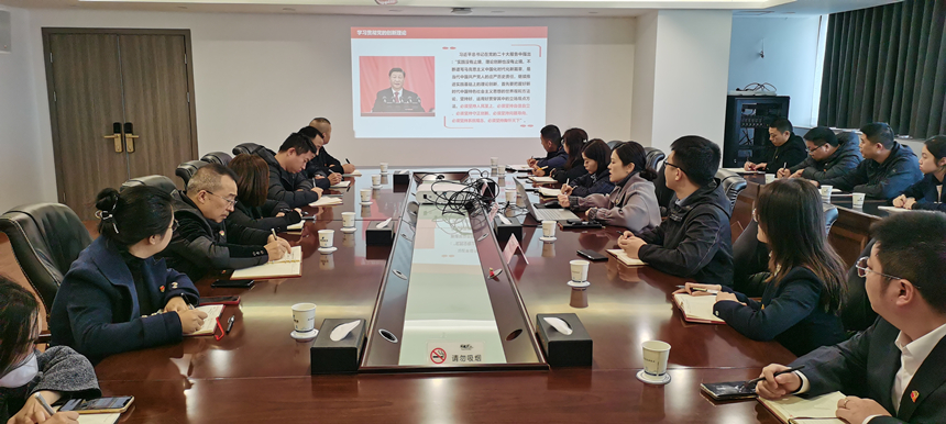 集團(tuán)黨委委員、副總經(jīng)理賀維維同志講授專題黨課