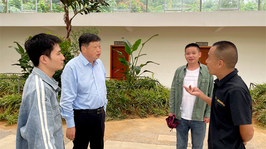 綿投集團黨委書記、董事長李桂炳調研鄉(xiāng)村振興駐村幫扶工作